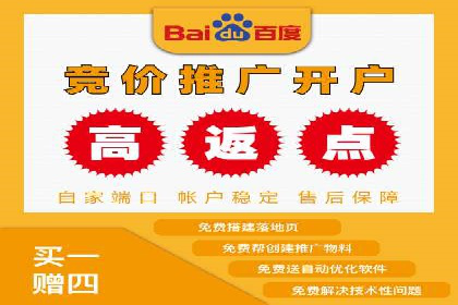 不同平台的SEM广告投放比较及成功案例分析